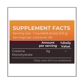 supplement - Nutrition Planet Creatine Micronized,  Orange  0.76 lb 