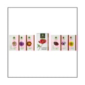 1 - Organic Harvest Diamond Shine and Glow Facial Kit,  60 g  for All Skin Types 