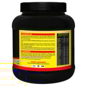 supplementinfo - Bigg Nutrition Insane Bulk Mass and Weight Gainer,  2.2 lb  Chocolate 