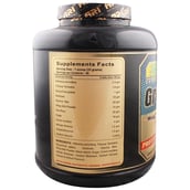 supplementinfo - Ari Nutrition Body Grow Ship,  3 kg  Chocolate 