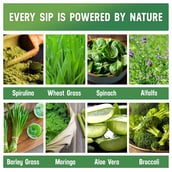 ingredients - Azani Active Nutrition Super Greens, 15 tablet(s) Green Lime (Pack of 3)