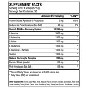 supplement - ANS Performance QUENCH BCAA, 2.75 lb 100 Servings Peach Mango