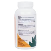 4 - Goodlife Nutrition Immunity Boosting Complex 800 mg, 60 capsules