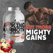 4 - Big Flex King Mammoth Mass Gainer, 6.6 lb Strawberry Banana