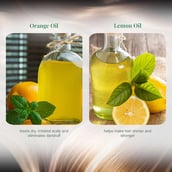 3 - VLCC Dandruff Care & Control Shampoo Buy 1 Get 1, 350 ml Hair Defense