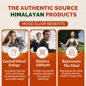 3 - Divya Himalayan Super Mood Elixir, 450 ml