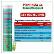 2 - Naturyz Plant KSM-66 with Ashwagandha(Apple Green Flavour), 45 tablet(s)