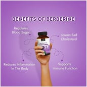 6 - StemRX Berberine, 60 capsules