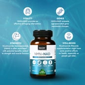 5 - StemRX NMN-NAD Nicotinamide,  60 capsules 