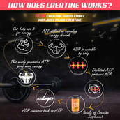 5 - Naturyz Creatine X7 Post-Workout Drink,  Mango Orange  0.99 lb 