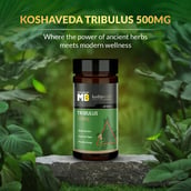7 - Koshaveda Gokshura 500mg by MuscleBlaze, 60 tablet(s)