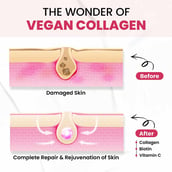 5 - Himalayan Organics Vegan Collagen 2000mg with Biotin & Vitamin C,  100 tablet(s)  Unflavoured 