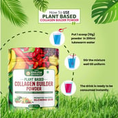 6 - Himalayan Organics Plant Based Collagen Builder Powder, 250 g Promotes Youthful Glowing skin