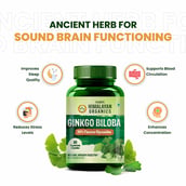 5 - Himalayan Organics Ginkgo Biloba 500mg,  60 capsules 