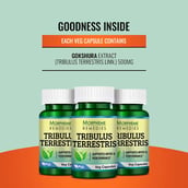 5 - Morpheme Remedies Tribulus Terrestris (500 mg), 60 veggie capsule(s)