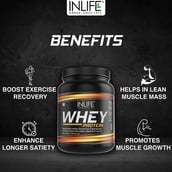 2 - INLIFE Whey Protein Powder, 0.88 lb Chocolate