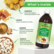2 - Dr. Patkar's Apple Cider Vinegar Pack of 2, 0.5 L Garlic, Ginger, Lemon and Honey
