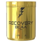 1 - Divine Nutrition Recovery BCAA 2:1:1,  0.55 lb  31 Servings  Blueberry 