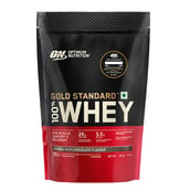 1 - ON (Optimum Nutrition) Gold Standard 100% Whey Protein, 1 lb Double Rich Chocolate