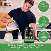 3 - ON (Optimum Nutrition) Serious Mass, 11 lb Chocolate