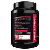 3 - Muscle Performance Anabolic Mass Gainer, 2.2 lb Belgium Chocolate