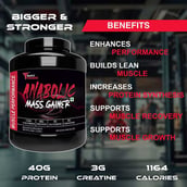 6 - Muscle Performance Anabolic Mass Gainer, 5.5 lb Belgium Chocolate with Steel Shaker