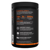 3 - Rule One Essential Amino9, 0.76 lb 30 Servings Rainbow Candy