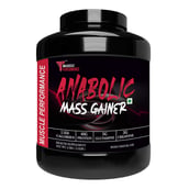 1 - Muscle Performance Anabolic Mass Gainer, 5.5 lb Irish Chocolate