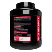 2 - Muscle Performance Anabolic Mass Gainer, 5.5 lb Creamy Vanilla