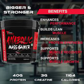 4 - Muscle Performance Anabolic Mass Gainer,  11 lb  Irish Chocolate 