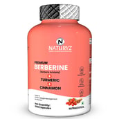 1 - Naturyz Premium Berberine + Cinnamon + Turmeric, 60 capsules