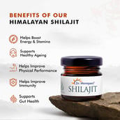 2 - Dr. Morepen Shilajit Resin Form, 15 g