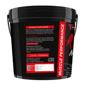 3 - Muscle Performance Anabolic Mass Gainer with Creatine Monohydrate 0.66 lbs & Steel Shaker Combo, 11 lb Rabri Kulfi