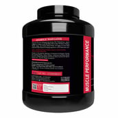 2 - Muscle Performance Anabolic Mass Gainer with Steel Shaker & Gym Bag Combo,  5.5 lb  Rabri Kulfi 