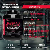 7 - Muscle Performance Anabolic Mass Gainer with Gym Bag Combo, 5.5 lb Belgium Chocolate