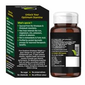 3 - Goodcare Pure Himalayan Shilajit 500 mg, 30 capsules