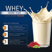 10 - AS-IT-IS Nutrition ATOM Whey Protein with Enzymes, 2.2 lb Kesar Elaichi