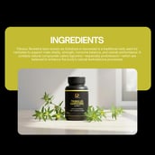 6 - PRIME VITA Tribulus Hardcore 500mg, 90 capsules