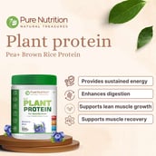 6 - Pure Nutrition Pure Plant Protein,  500 g  Blueberry Blast 