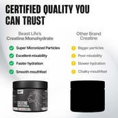 1 - BeastLife Creatine Monohydrate, Peach & Neon Shaker 500ml 0.27 lb