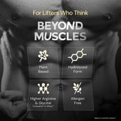 6 - Nutrabay Gold Pea Protein,  0.09 lb  French Vanilla (Single Serve) 