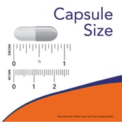 4 - Now Natural Resveratrol (200 mg), 60 veggie capsule(s)