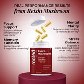 3 - Rooted Active Naturals Reishi Organic Mushroom Extract, 60 veggie capsule(s)