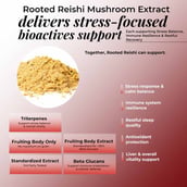8 - Rooted Active Naturals Reishi Organic Mushroom Extract,  60 g 