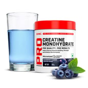1 - GNC Pro Performance Pure Micronized Creatine Monohydrate,  Blueberry  0.55 lb 