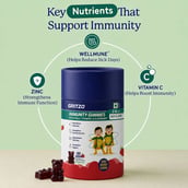 5 - Gritzo Immunity Gummies 2-6 Years,  30 gummies  Strawberry