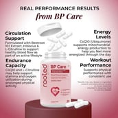 6 - Rooted Active Naturals BP Care, 60 capsules