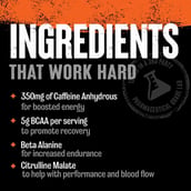 2 - Universal Nutrition Animal Fury Pre-Workout Essentials, 0.72 lb Watermelon