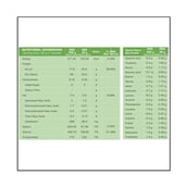 supplement - BodyFirst Whey Protein Concentrate with ProHydrolase, 32 sachets/pack Unflavoured