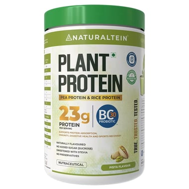 NATURALTEIN Plant Protein, 1.1 lb Pista